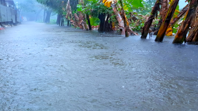 টানা বৃষ্টিতে ফের ডুবছে নোয়াখালী