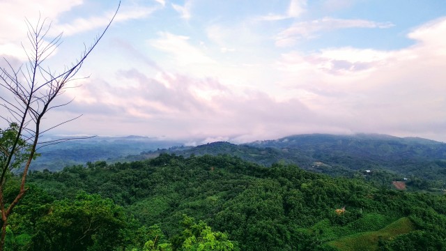 বান্দরবানে কেএনএফ সদস্যের মরদেহ উদ্ধার