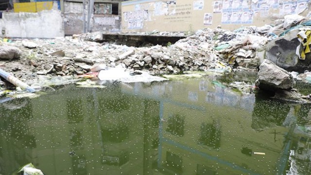 বৃষ্টির পানিতে বাড়ছে মশার প্রজনন