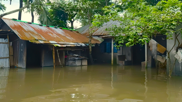 নাঙ্গলকোটে খাদ্যসংকট, বন্যায় কষ্টে আছেন প্রত্যন্ত এলাকার মানুষ